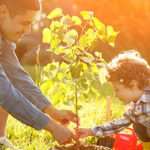 Cómo educar en el medio ambiente