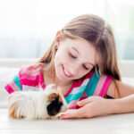 La mascota ideal para la educación de tu hijo