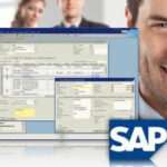Por qué ser consultor SAP