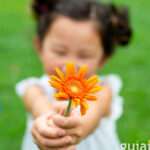 Desarrollando la sensibilidad en niños: estrategias para apreciar su entorno.
