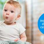 Descubriendo la Inteligencia de tu Hijo: Tipos y Cómo Potenciarlos