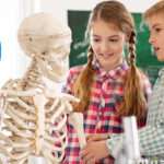 El Cuerpo Humano para Niños: Respuestas a los '¿Por Qué?'