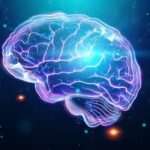 Entendiendo el Cerebro Infantil: Claves para Padres