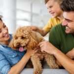 Fomentando la responsabilidad infantil: claves para cuidar mascotas