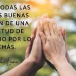 Frases sobre solidaridad para educar en valores a los niños: Inspiración para padres
