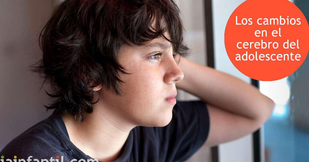 Guía del Desarrollo Cerebral en la Adolescencia: Todo lo que los Padres Deben Saber