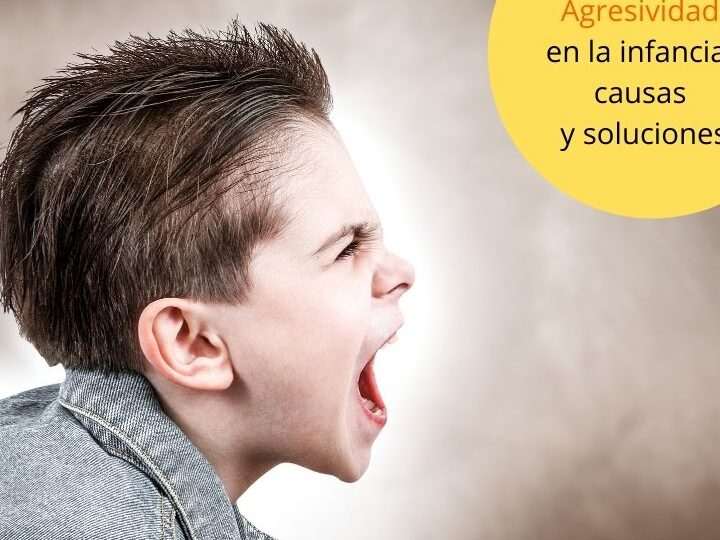 Causas de una Conducta Agresiva en los Niños