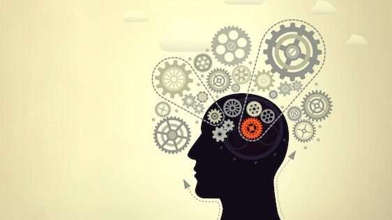 Cómo potenciar tu intelecto
