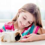 ¿Cuál es la mascota ideal para la educación de tu hijo?