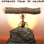Educar en el valor del esfuerzo