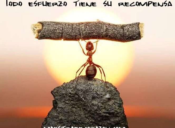 Educar en el valor del esfuerzo