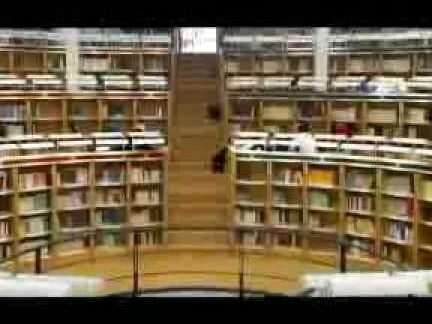 En qué consiste el Proceso de Bolonia