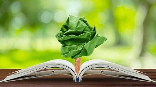 ¿Qué es la educación ambiental?